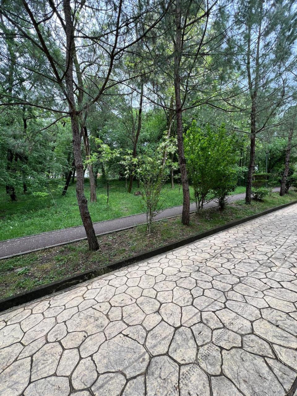 Cozy Flat Near Air Albania Stadium 1 ティラナ エクステリア 写真